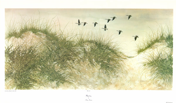 Migrating by Harry Hansen - 21 X 35 Inches (Art Print)