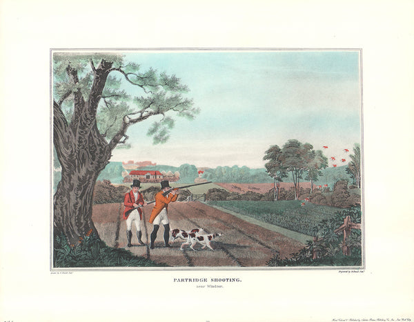 Patridge Shooting by Robert Havell - 13 X 16 Inches (Hand Colored Watercolor)