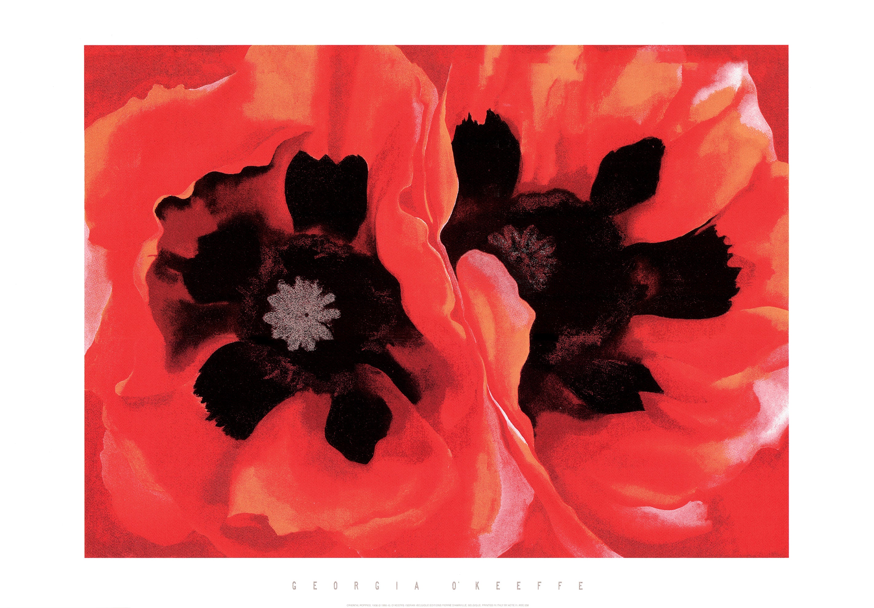 Oriental Poppies, 1928 by Georgia O'Keeffe - 28X40 Inches (Silkscreen ...