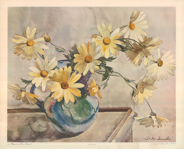 Marguerites by Paul Immel - 18 X 22 Inches (Art Print)