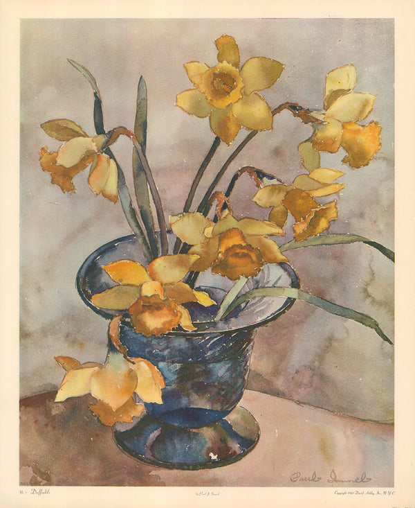 Daffodils by Paul Immel - 18 X 22 Inches (Art Print)