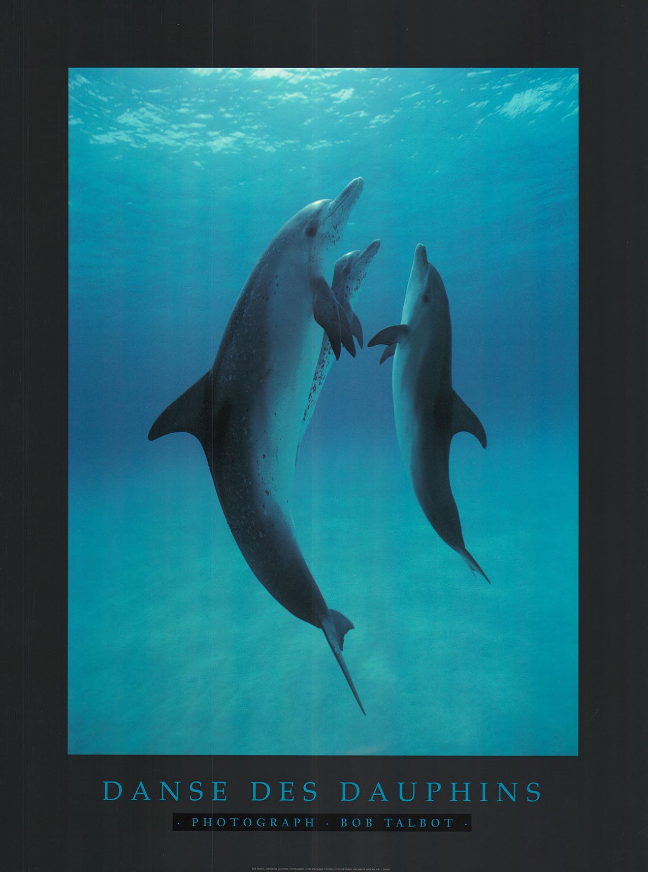 Danse des Dauphins, 1989 by Bob Talbot - 18 X 24 Inches (Offset Lithograph)