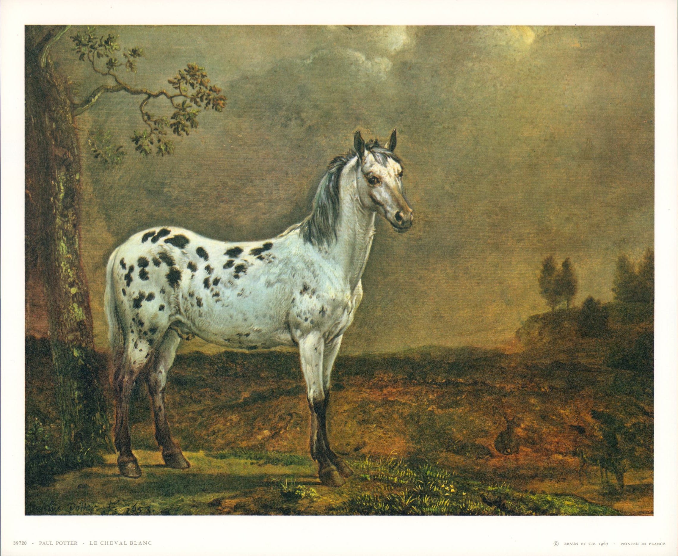The White Horse, 1653 by Paul Potter - 10 X 12 Inches (Art Print