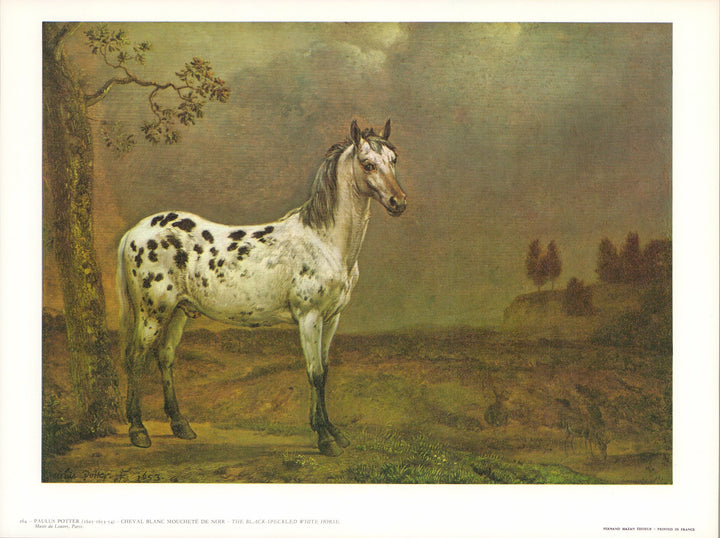 The Black-Speckled White Horse by Paulus Potter - 10 X 12 Inches (Art Print)
