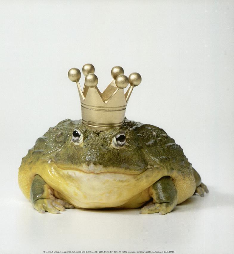 The Frog Prince by Petra Gehlhar - 12 X 12 Inches (Art Print