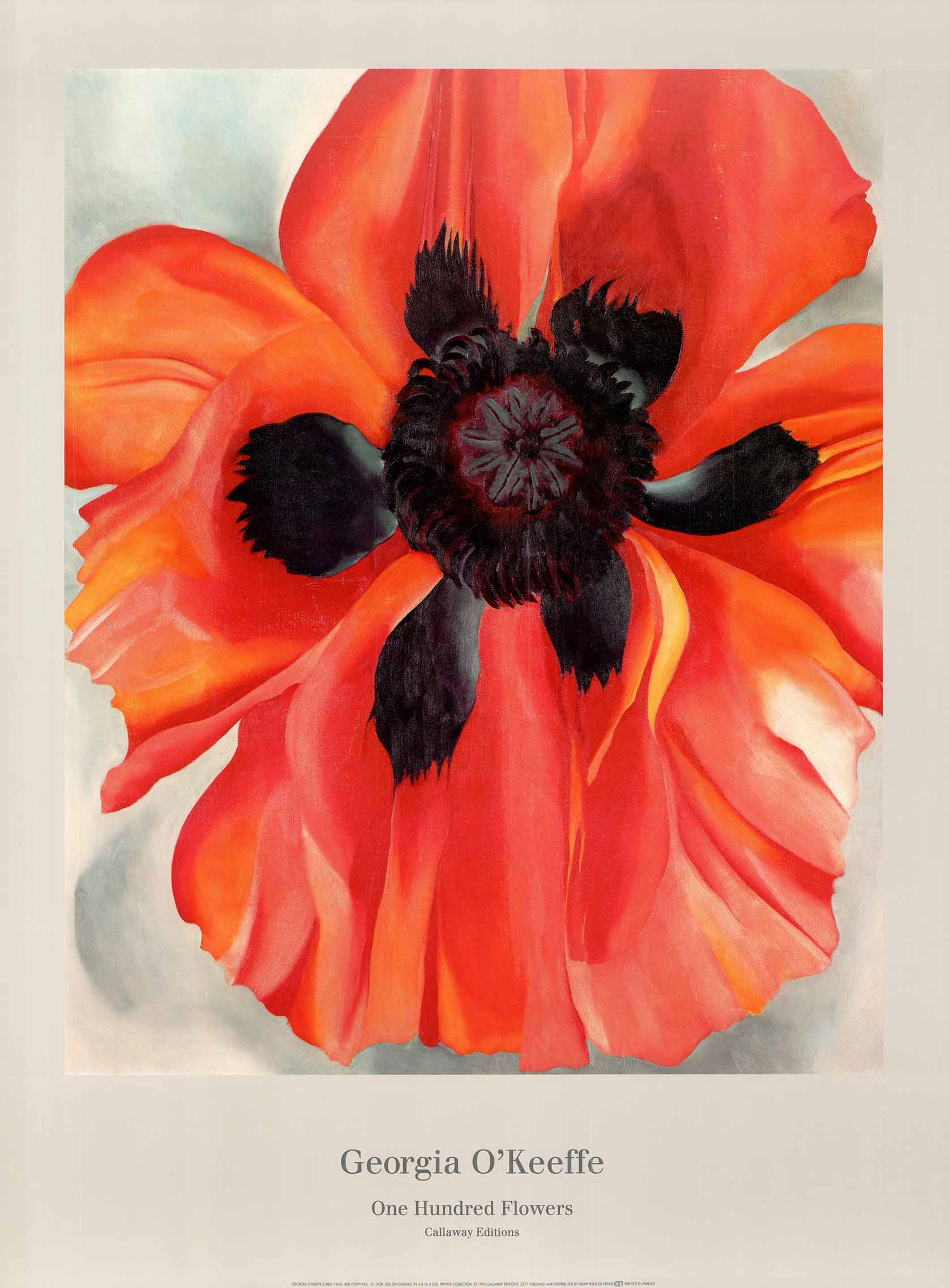 Red Poppy No VI 1928 By Georgia O Keeffe 24 X 32 Inches Art Print red-poppy-no-vi-1928-by-georgia-o-keeffe-24-x-32-inches-art-print
