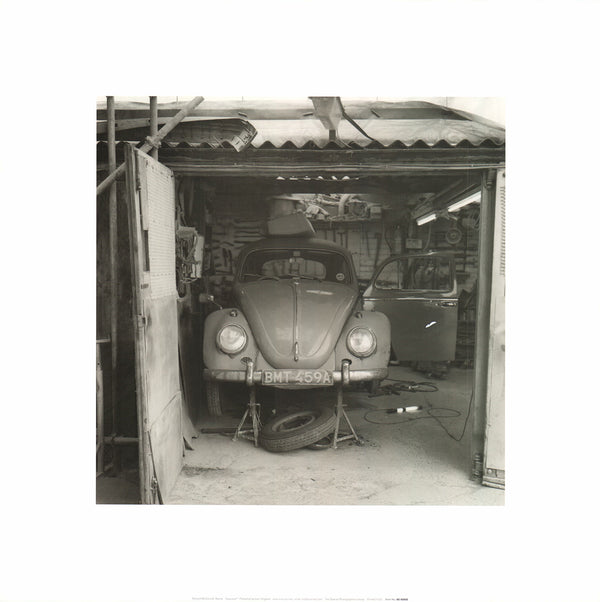 Beetle by Richard McConnell - 16 X 16 Inches (Art Print)