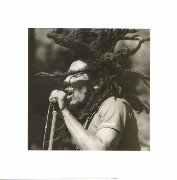 Bob Marley Zion - 16 X 16 Inches (Art Print)