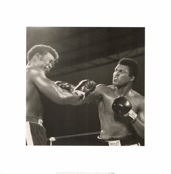 Muhammad Ali Versus George Foreman Rumble in the Jungle - 16 X 16 Inches (Art Print)