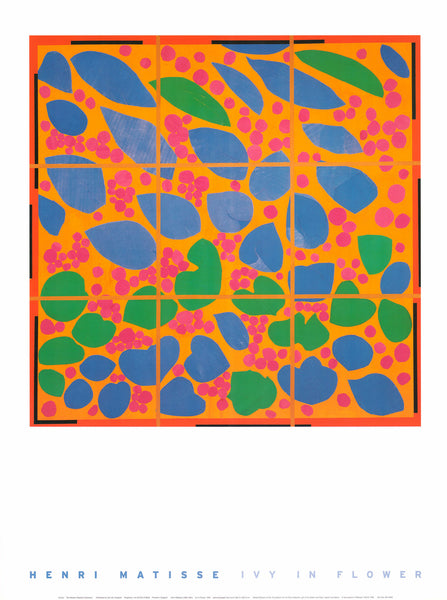 Ivy in Flower, 1953 by Henri Matisse - 24 X 32 Inches (Art Print