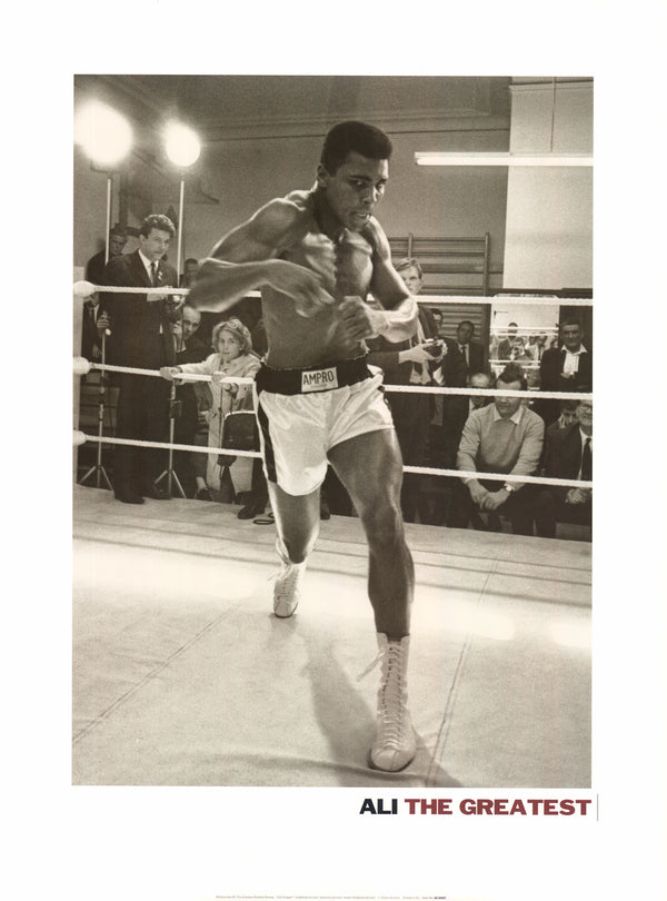 Muhammad Ali "The Greatest - Shadow Boxing" - 24 X 32 Inches (Offset Lithograph)