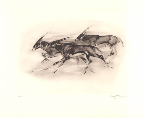 Gemsbok - 26 X 32 Inches (Litho, Numbered & Signed) 38/200