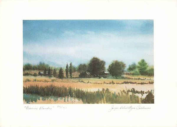 Prairies Blondes by Joyce Schweitzer Cochrane - 8 X 11 Inches (Watercolour Numbered & Signed) 14/150