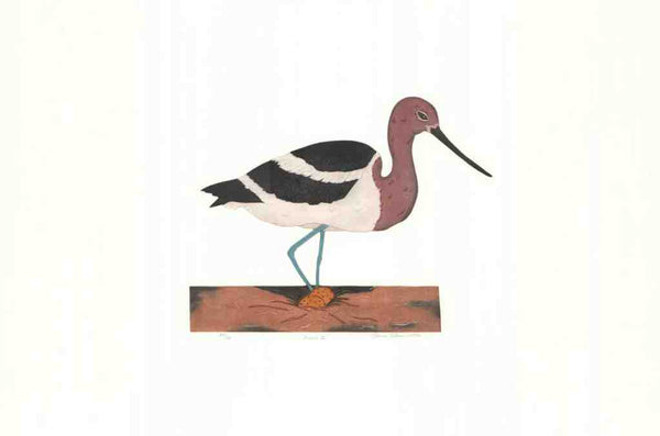 Avocet III  by Laura Nevin - 15 X 22 Inches (Original Etching, Numbered & Signed) 20/100