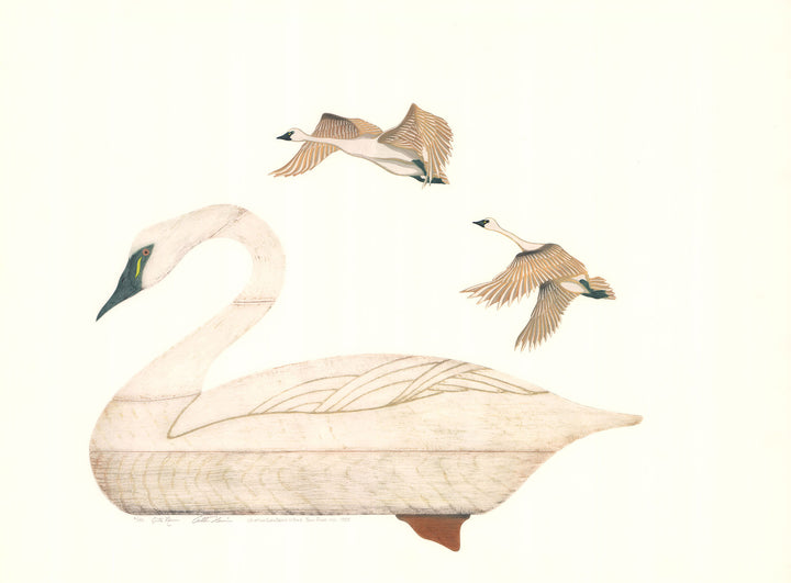 Whistling Swan Decoy, 1955 by Arthur Nevin - 22 X 30 Inches (Original Etching Numbered & Signed) 6/150