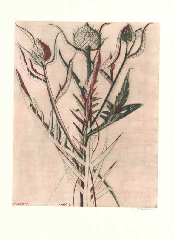 Floraison, 1977 by Brigitte Coudrain - 23 X 30 Inches (Etching, Numbered & Signed) E.A.