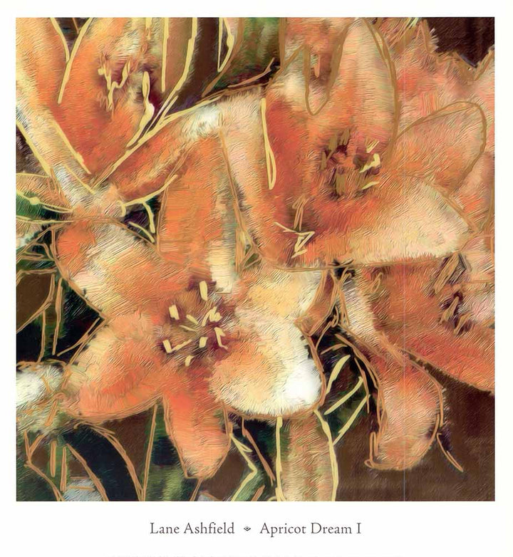Apricot Dream I by Lane Ashfield - 14 X 13 Inches (Art Print)