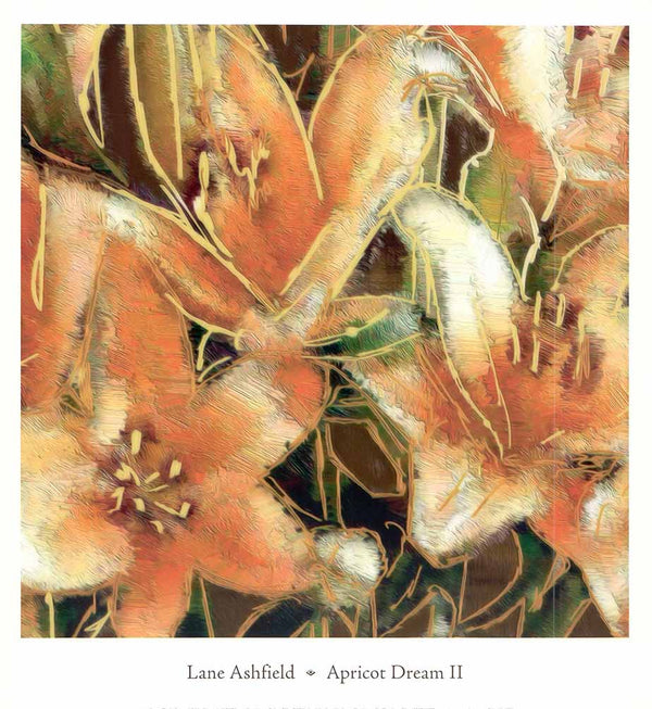 Apricot Dream II by Lane Ashfield - 14 X 13 Inches (Art Print)