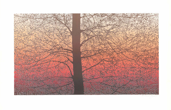 Twilight, 1982 by C. Murcada - 26 X 40 Inches (Lithograph Signed)