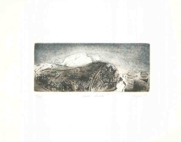 Aqua- Cherche, 1980 by Monique Voyer - 15 X 19 Inches (Etching Numbered & Signed) 16/75
