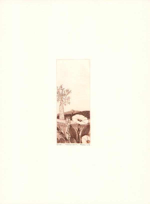 Memoires, 1982 by Michelle Parrot - 9 X 12 Inches (Etching Titled, Emboss, Numbered & Signed) 7/100