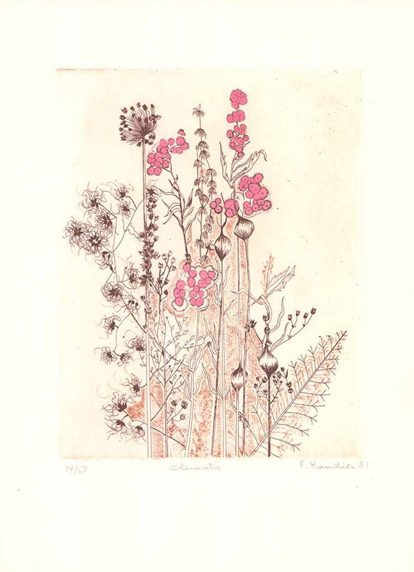 Clematis, 1981 by Francoise Randier - 11 X 15 Inches (Etching Numbered & Signed) 14/50