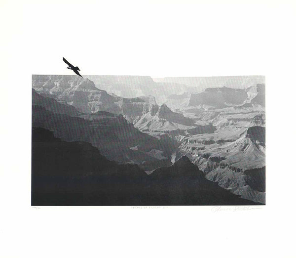 Echos of Flight I by Theresa Stubler - 16 X 18 Inches (Lithograph Numbered & Signed) 126/150