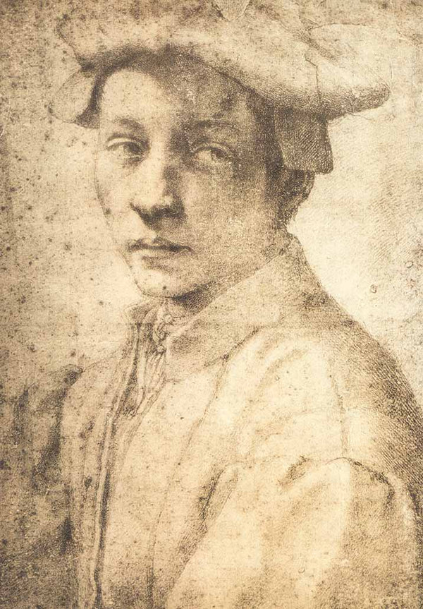 Ritratto by Angelo Bronzino - 11 X 15 Inches (Offset Lithograph Fine Art Print)