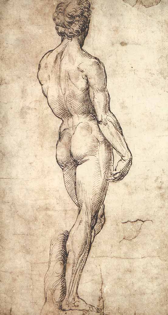 Nudo by Raffaello Sanzio - 8 X 15 Inches (Offset Lithograph Fine Art Print)