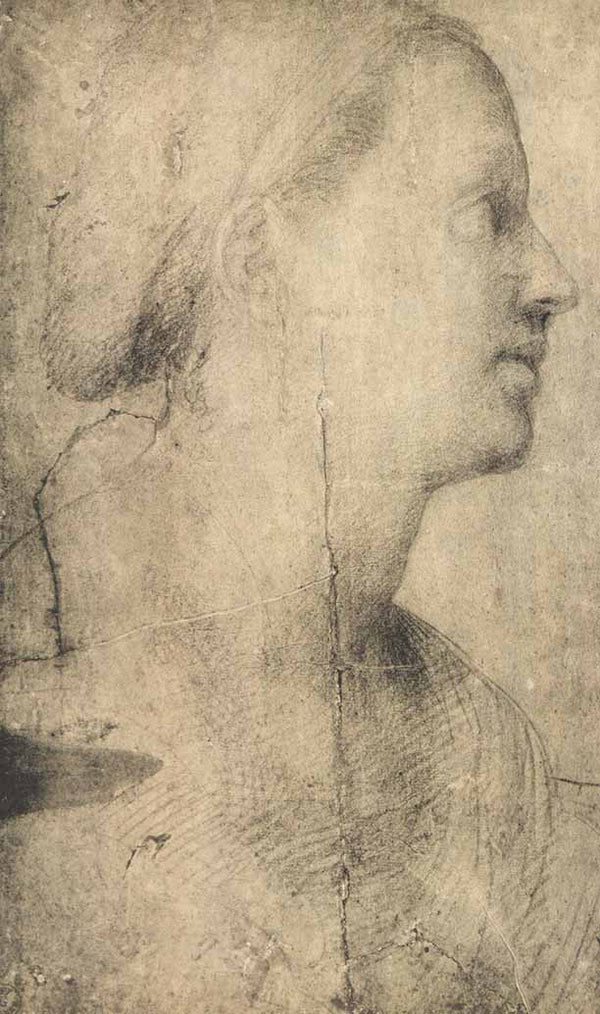 Testa di Donna by Andrea del Sarto - 10 X 15 Inches (Offset Lithograph Fine Art Print)