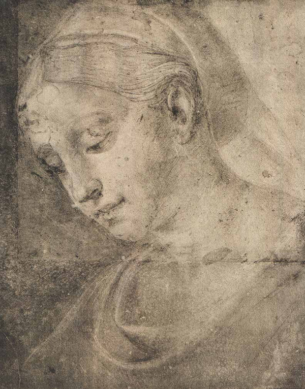 Testa Muliebre by Scuolo di Raffaello - 12 X 15 Inches (Offset Lithograph Fine Art Print)