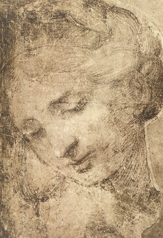 Testa Femminile by Raffaello Sanzio - 8 X 12 Inches (Offset Lithograph Fine Art Print)