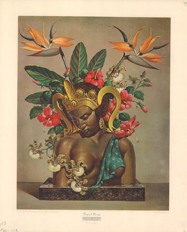 Tropical Bounty by Cosmo del Salvo - 14 X 17 Inches (Offset Lithograph)