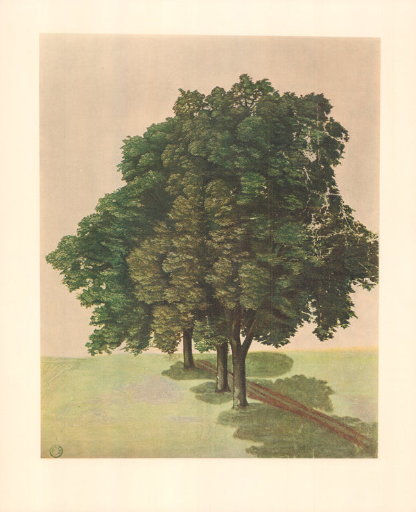 Three Lime Trees by Albrecht Durer - 14 X 17 Inches (Offset Lithograph Colored)