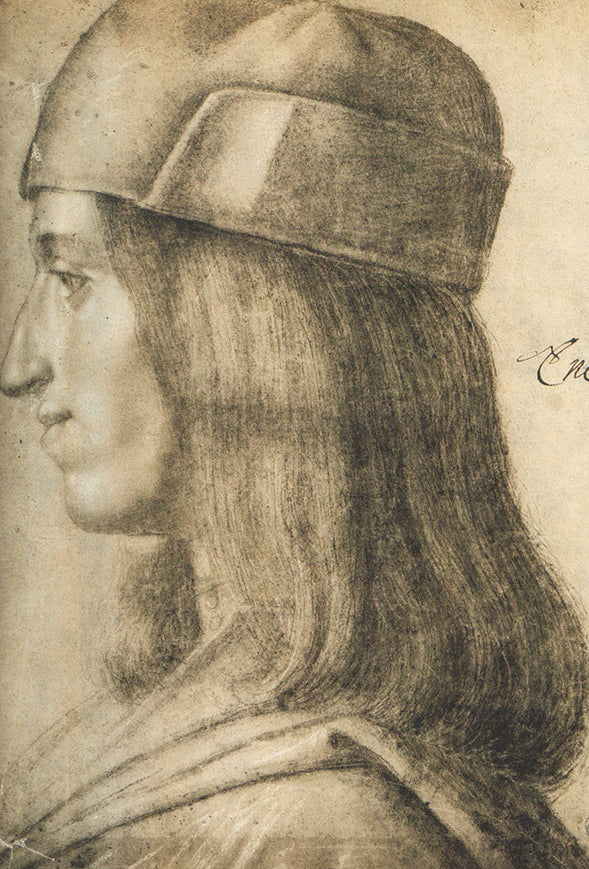 Testa di Giovane di Profilo by Giovanni Bellini - 9 X 13 Inches (Offset Lithograph Fine Art Print)