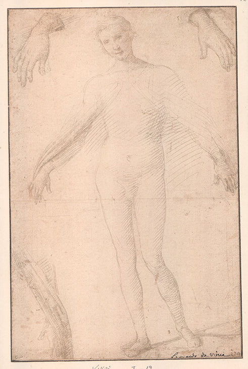 Leonar da Vinci - 7 X 11 Inches (Offset Lithograph Fine Art Print)