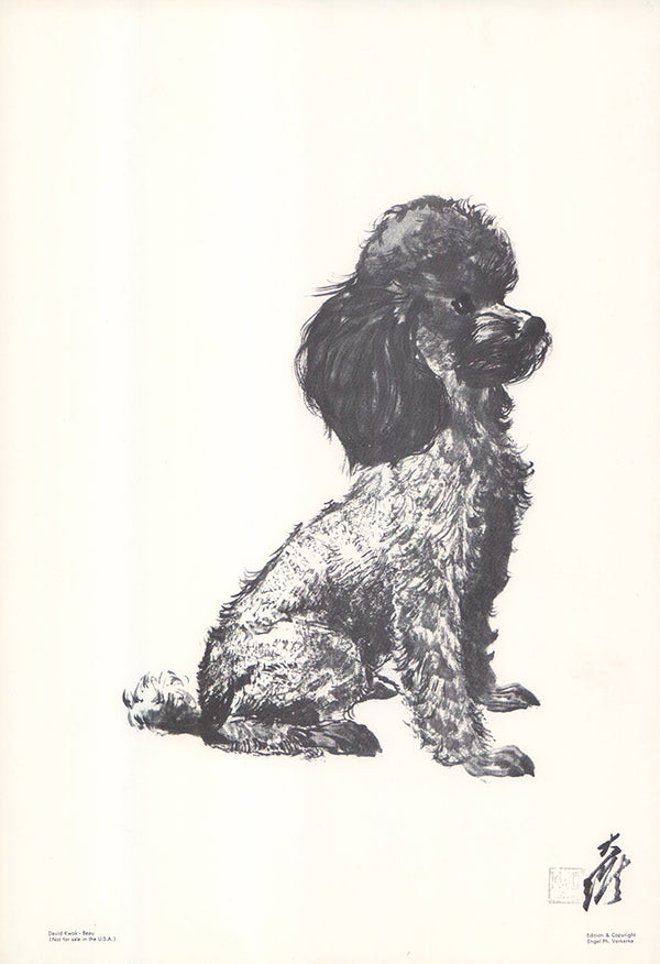 Belle by David Kwok - 11 X 16 Inches (Offset Lithograph)