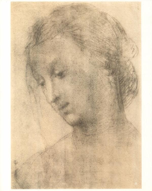 Testa di Donna by Fra Bartolommeo - 12 X 15 Inches (Offset Lithograph)