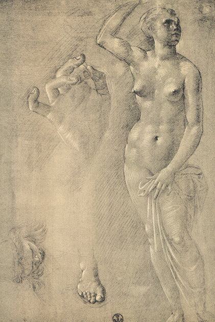 Studio di Figura, una Mano e un Piede by Sandro Botticelli - 7 X 9 Inches (Offset Art Print)