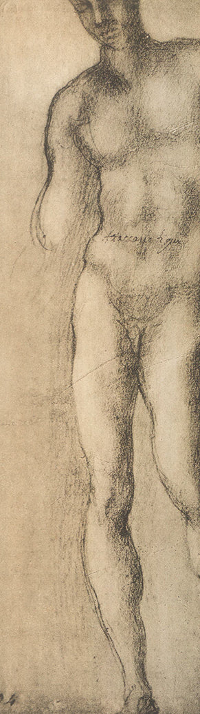 Studi di Figura Virile by Michelangelo Buonarroti - 5 X 15 Inches (Offset Art Print)