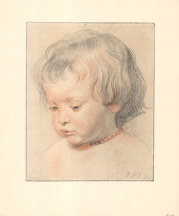 Portrait of his Son Nicholas 1620 by Peter Paul Rubens - 12 X 14 Inches (Offset Lithograph Fine Art Print)