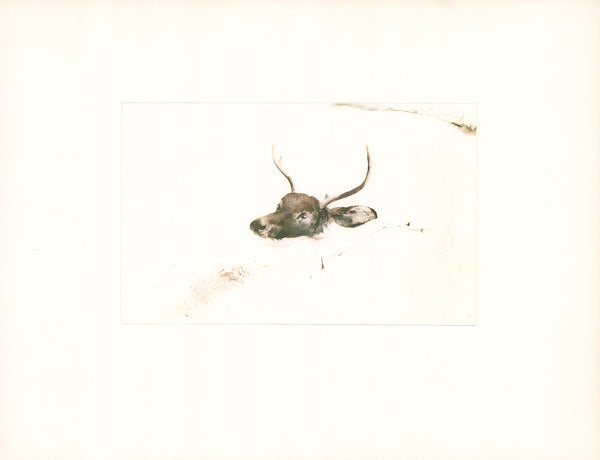 Deer by Andrew Wyeth - 14 X 18 Inches (Art Print with Matte)