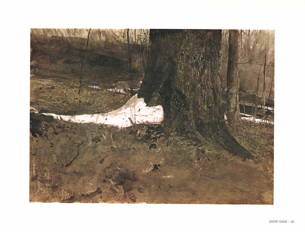 Snow Shoe by Andrew Wyeth - 13 X 17 Inches (Art Print)