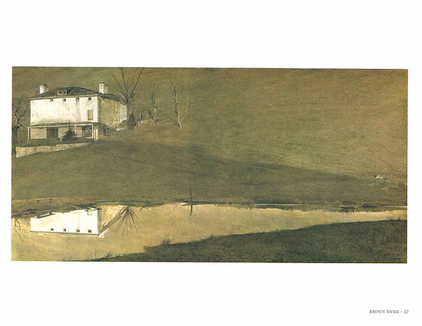 Brown Swiss by Andrew Wyeth - 13 X 17 Inches (Art Print)