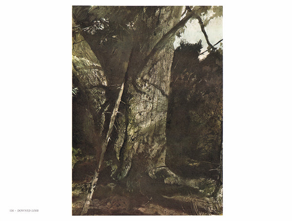 Downed Limb by Andrew Wyeth - 13 X 17 Inches (Art Print)