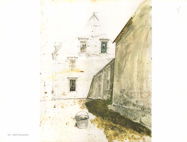 Barn Swallows by Andrew Wyeth - 13 X 17 Inches (Art Print)
