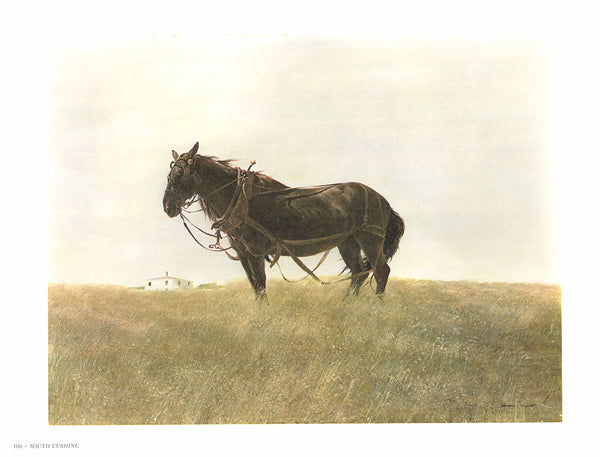 South Cushing by Andrew Wyeth - 13 X 17 Inches (Art Print)
