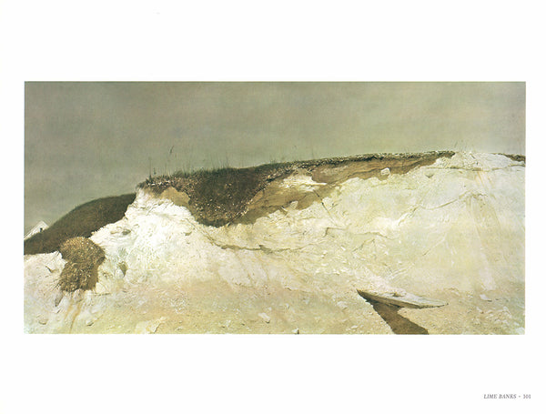 Lime Banks by Andrew Wyeth - 13 X 17 Inches (Art Print)