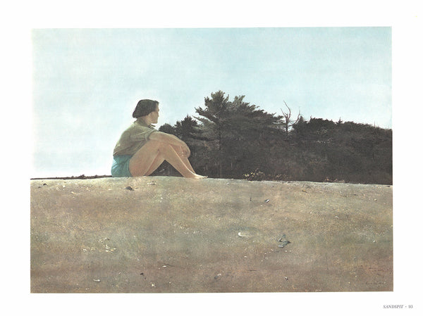 Sandspit by Andrew Wyeth - 13 X 17 Inches (Art Print)