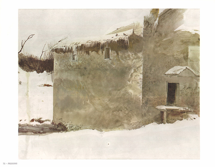 Pigeons by Andrew Wyeth - 13 X 17 Inches (Art Print)